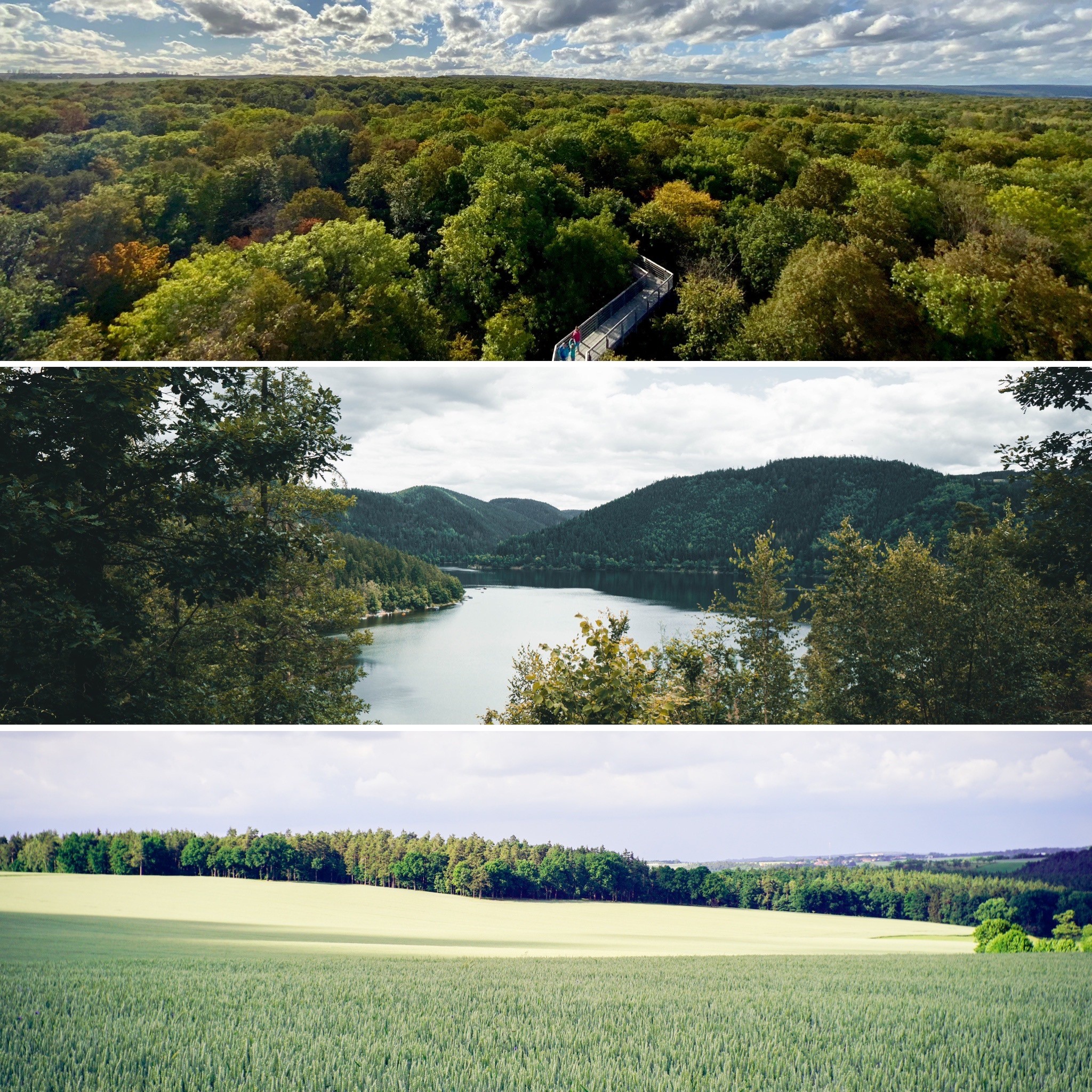 Thüringen im Sommer