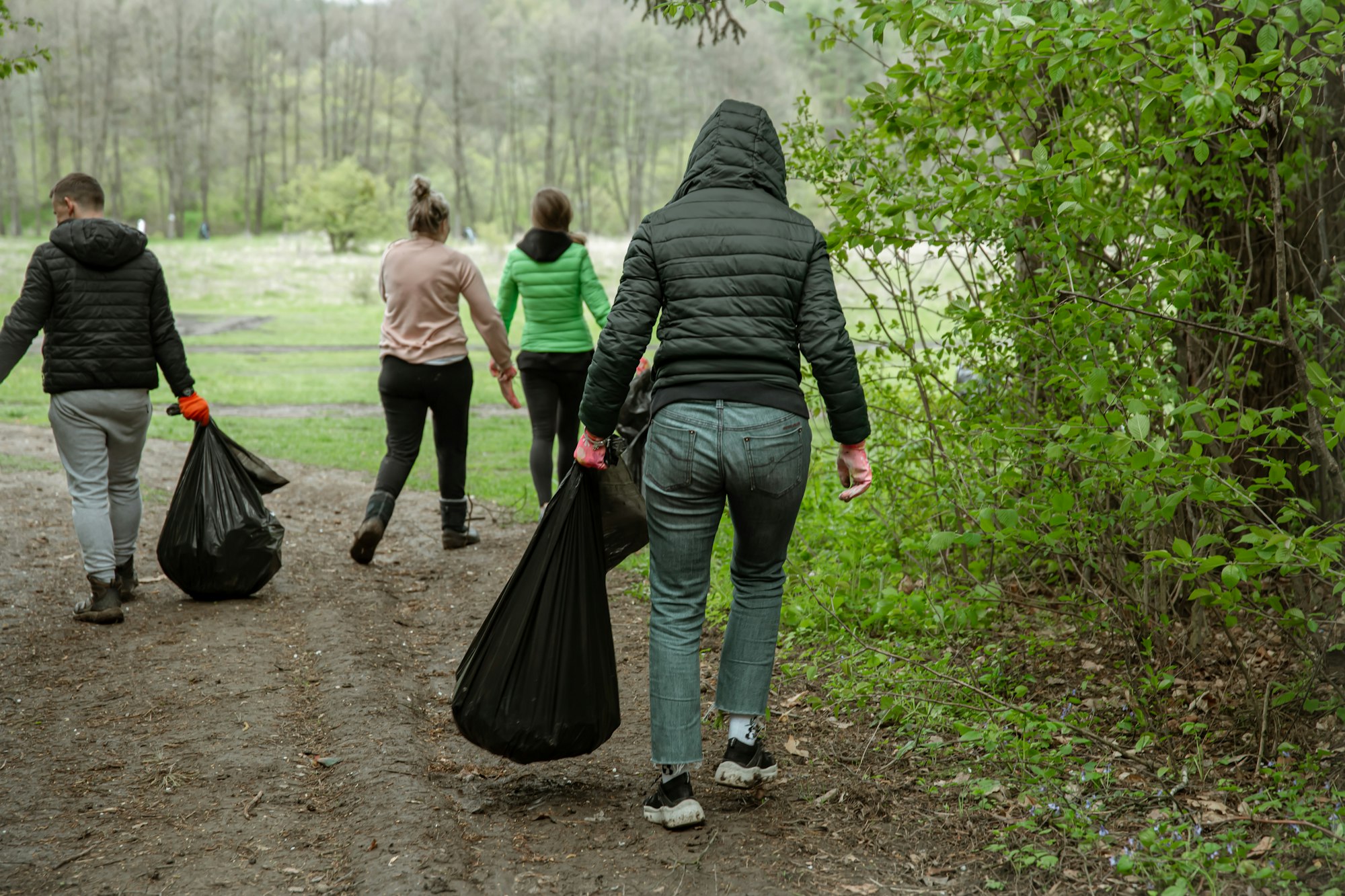 A group of volunteers with garbage bags are cleaning the forest.