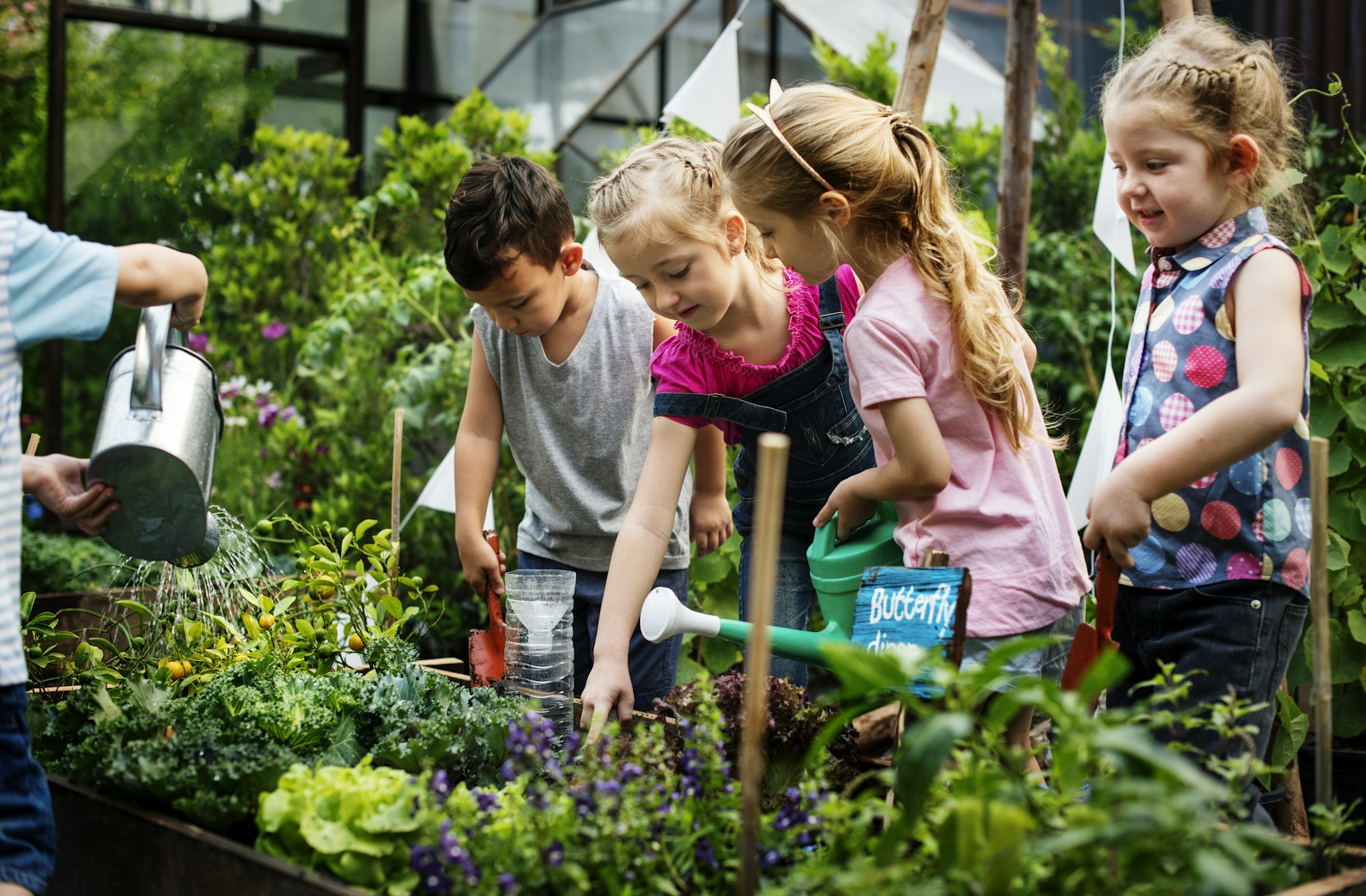 Group of kindergarten kids learning gardening outdoors