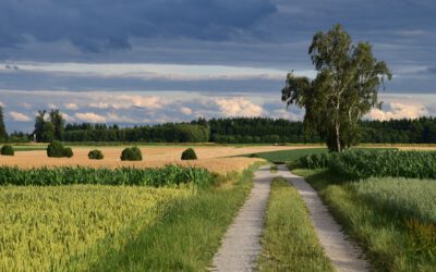 SPD-Landwirtschaftspolitiker Liebscher: Bauernproteste müssen Gehör finden – konstruktiv und gewaltfrei!